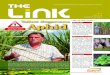 Yellow Sugarcane Also in this issue - SASA linkmay2014.pdf · new sugarcane pest, yellow sugarcane aphid (YSA), which was recorded for the first . time in our sugar industry during
