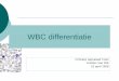 WBC differentiatie - w1.uzleuven.be · Aanvraag WBC differentiatie (bon 3012) Sysmex XE-2100 Staal VOLDOET aan validatieregels: Negatief Automatische differentiatie