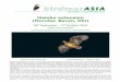Maluku extension (Morotai, Bacan, Obi) Reports/Birdtour Asia North Moluccas 2016.pdf · Maluku extension (Morotai, Bacan, Obi) 25th September – 2nd October 2016 Leader: Rob Hutchinson