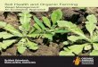 Weed Management: An Ecological Approach - ofrf.org · WEED MA nAGEME T: An ECOlOGICAl APPROACH 3 ever, each cultivation degrades soil organic matter to some degree, and farmers often
