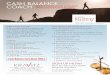 Cash Balance Coach Flyer 1009 - Home - Kravitz Cash ... GROW YOUR 401(k) BUSINESS WITH CASH BALANCE
