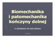 Biomechanika i patomechanika KD - fizjoterapeutom.pl ... · w. biodrowo –udowe (hamuje nadmierne prostowanie oraz obrót uda do wewn ątrz), ... -skręcenie na zewn ątrz podudzia
