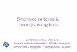 Smernice za terapiju neuropatskog bola - sad.org.rs · Patofiziološka osnova Periferni mehanizmi Povreda perifernih nerava - Preosetljivost pri spontanoj aktivnosti neurona, snižen