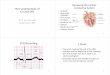 Reviewing the Cardiac The Fundamentals of Conductive ... · The Fundamentals of 12 Lead EKG Dr. E. Joe Sasin, MD Rusty Powers, NRP 1 Reviewing the Cardiac Conductive System • SA