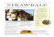 STRAWBALE - Home Inspector Certification | Home Inspector ... · FOR MORE INFORMATION, VISIT: ! PAGE 3 PLASTER BASICS Strawbale homes are typically plastered with one of four diﬀerent