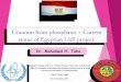 Uranium from phosphates – Current status of Egyptian UxP ... · Uranium from phosphates – Current status of Egyptian UxP project Uranium from phosphates – Current status of