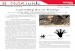 Controlling Beaver Damage - University of …extensionpublications.unl.edu/assets/pdf/g1434.pdfControl Strategies for Beaver Beaver damage is most often managed by: 1) installing a