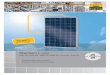 Premium L poly - Startseite - Solar Fabriksolar-fabrik.de/wp-content/uploads/2016/09/Premium_L_poly_ENG.pdf · Premium L poly 250 W 255 W 260 W 265 W 270 W 275 W ... Curret teperature