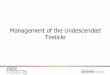 Management of the undescended testicle - pier.uhs.nhs.uk · PIER Paediatric Innovation, Education & Research Network Management of the Undescended Testicle