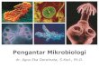 Pengantar Mikrobiologi Gizi 2018 · Faktor yang Mempengaruhi Pertumbuhan Bakteri Sejarah Mikrobiologi. Mikrobiologi dan Pentingnya Mikrobiologi. Mikrobiologi ‣ Ilmu tentang mikroorganisme