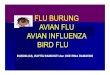 FLU BURUNG RDS 2.ppt [Read-Only] - ocw.usu.ac.idocw.usu.ac.id/course/download/128-Kesehatan-Anak/kesehatan_anak... · terpapar dan keluarga jika ada gejala gangguan pernapasan, fludan