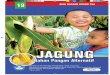 JAGUNG - .pengetahuan tentang manfaat jagung sebagai salah satu ... disajikan deskripsi jagung secara