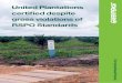 United Plantations certiﬁ ed despite gross violations of ... · United Plantations certiﬁ ed despite gross violations of ... PT Surya Sawit Sejati (“PT SSS1”– 15,650 ha)