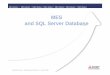QJ71MES96 Modul and SQL · PDF file2010-03-25 · Mitsubishi Electric – MES Modul and SQL Server – Octob er 2008 MES Modul /// MES Modul /// MES Modul /// MES Modul /// MES Modul