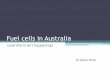 Fuel cells in Australia - Dinkum energy · Hydrogen fuel cells •The main type that runs on pure hydrogen is the PEM fuel cell. These are used for: Battery back up e.g. data centres