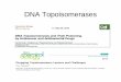 DNA Topoisomerases - Center for Cancer Research · Levofloxacin. Interfacial inhibition. Topoisomerase drugs. Top 3. Decatenation. Top-3beta. Top3A and Top3B. Topoisomerases. 