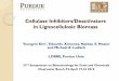 Potential Cellulase Inhibitors/Deactivators in ... 32nd symposium 4.29.10.pdf  Cellulase Inhibitors/Deactivators