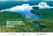 Annual Report 2017 Restorasi Ekosistem Riau - aprilasia.com Ekosistem Riau Annual... · Printed on Offset Premium Paper 120gr 5 Purpose In 2013, APRIL Group set up Restorasi Ekosistem