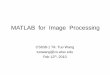 MATLAB for Image Processing - cs.tau.ac.ildcor/Graphics/cg-slides/MATLAB-tutorial.pdf · MATLAB for Image Processing CS638-1 TA: Tuo Wang tuowang@cs.wisc.edu Feb 12th, 2010