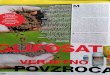 GlifosatKomat.pdf - Ekološka iniciativa Rače | …eko.race-fram.net/wp-content/uploads/2016/03/...priljubljeni herbicid v Sloveniji glifosat, tako imenovani morilec plevelov in trav