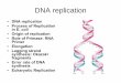 DNA replication - Western Oregon guralnl/311DNA replication.pdf · PDF fileSemi-conservative replication Eukaryotic chromosomes with base Analog 5-Bromodeoxyuridine with staining