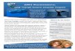 APEX Environmental E-Brochure · APEX ENVIRONMENTAL Coral Triangle Oceanic Cetacean Program Where do we work? Indonesia Bali, Banda Sea, Derawan , Komodo, Raja Ampat, Sangihe-