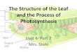 The Structure of the Leaf and the Process of Photosynthesis .and the Process of Photosynthesis Unit