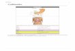 Gallbladder · Latin vesica fellea; vesica biliaris Gray's subject #250 1197 [1] System Digestive system (GI Tract) Artery Cystic artery Vein Cystic vein Nerve Celiac ganglia, vagus[2]