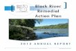 Black River Remedial Action Black River RAP Annual...  RAP - Remedial Action Plan: a requirement