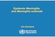 Epidemic Meningitis and Meningitis outbreak - who.int .Meningitis is an inflammation of the meninges,