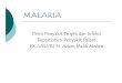 Malaria 2009-5.ppt [Read-Only] - USU OpenCourseWareocw.usu.ac.id/course/download/1110000141-tropical-medicine/tmd175... · Sejarah Malaria (Italy) → ‘Bad air’ Edwin Klebs dan