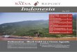 The R Indonesia - PT.AC Resources Limited PT Rindu Alam Raya, PT Tunas Inti Abadi (Trakindo Group), PT Berkat Borneo Coal, and PT Borneo Indobara (Sinarmas Group). In summary, a major