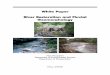 White Paper River Restoration and Fluvial .White Paper River Restoration and Fluvial Geomorphology