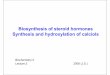 Biosynthesis of steroid hormones Synthesis … of steroid hormones Synthesis and hydroxylation of calciols Biochemistry II Lecture 2 2008(J.S.) The major sites of steroid hormone biosynthesis