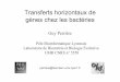 Transferts horizontaux de gènes chez les bactériespbil.univ-lyon1.fr/members/perriere/cours/INSA/4BIM_2006.pdf · Bacillus, Clostridium, Mycoplasma Nostoc, Synechocystis Treponema,