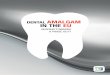 DENTAL AMALGAM IN THE EU - noharm-europe.org · Understanding the achievements in the EU The mercury regulation: A partial phase out of Dental amalgam Article 10 of the Mercury Regulation