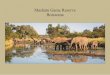 Mashatu Game Reserve Botswana · MASHATU GAME RESERVE LAND OF GIANTS It is from any towering vantage point that the great, primal stillness of Africa takes your breath away. For down