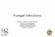 Fungal infectionsacademic.sun.ac.za/stellmed/CourseMaterial/Annual GP...T capitis • HAIR LOSS - patchy • grey patch • yellow patch (= impetigo) • alopecia areata –like •