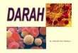 dr. Indriati Dwi Rahayu - anatomi.lecture.ub.ac.idanatomi.lecture.ub.ac.id/files/2013/09/Darah-tepi_MHS-PSIK.pdf- sel sejati inti & organella [+] - gerak amuboid & diapedesis [+] -