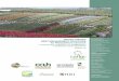 Nursery Industry Best MaNageMeNt PractIces for ... · Nursery Industry Best MaNageMeNt PractIces for Phytophthora ramorum - to prevent the introduction or establishment in California