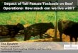 Impact of Tall Fescue Toxicosis on Beef Operations: How ... · Impact of Tall Fescue Toxicosis on Beef Operations: How much can we live with? Joe Bouton Emeritus Professor Institute
