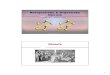 Prof Dr Sabine Prys Prof. Dr. Sabine - Hochschule Furtwangenneutron/download/lehre/chemistry... · 2 Der Begriff „Chemie“ „Chemie“ entstand aus dem neueren Griechisch χημεία,