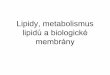 Lipidy, metabolismus lipidů a biologické membrányvacha/Vyuka/Biochemie/06_Lipidy.pdf · Trans mastné kyseliny •Trans mastné kyseliny se tvoří působením tepla nebo při