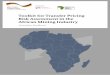 Toolkit for Transfer Pricing Risk Assessment in the ... · Toolkit for Transfer Pricing Risk Assessment in the African Mining Industry About this toolkit The African Tax Administration