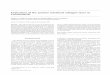Evaluation of the porcine intestinal collagen layer as a ...users.wpi.edu/~kbilliar/documents/Abraham Murray Billiar Sullivan...Evaluation of the porcine intestinal collagen layer