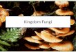 Kingdom Fungi - sciyeung.com · • Sac Fungi (Ascomycota) ß mycota is found in fungi – Yeast cells • Club fungi (Basidiomycota) – Can be parasitic (needs a host) • Zygomycota