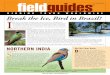 fieldguides fileAlso in this issue: 2/GuideLines • 2/Last Spaces • 3/Central Peruvian Endemics • 4/Fresh From the Field 7 