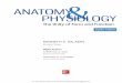 ANATOMY PHYSIOLOGY - ebooksguru.net fileBRIEF CONTENTS About the Authors iv PART ONE ORGANIZATION OF THE BODY 1 1 Major Themes of Anatomy and Physiology 1 ATLAS A General Orientation