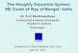 The Hooghly estuarine system, NE Coast of Bay of Bengal, India.nio.org/userfiles/file/events/P_Mukhopadhyay.pdf · The Hooghly Estuarine System, NE Coast of Bay of Bengal, India