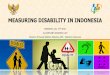 MEASURING DISABILITY IN INDONESIA - UNSD — Welcome … · MEASURING DISABILITY IN INDONESIA BANGKOK, July 27th 2016 by GANTJANG AMANNULLAH Director of People Walfare Statistics,